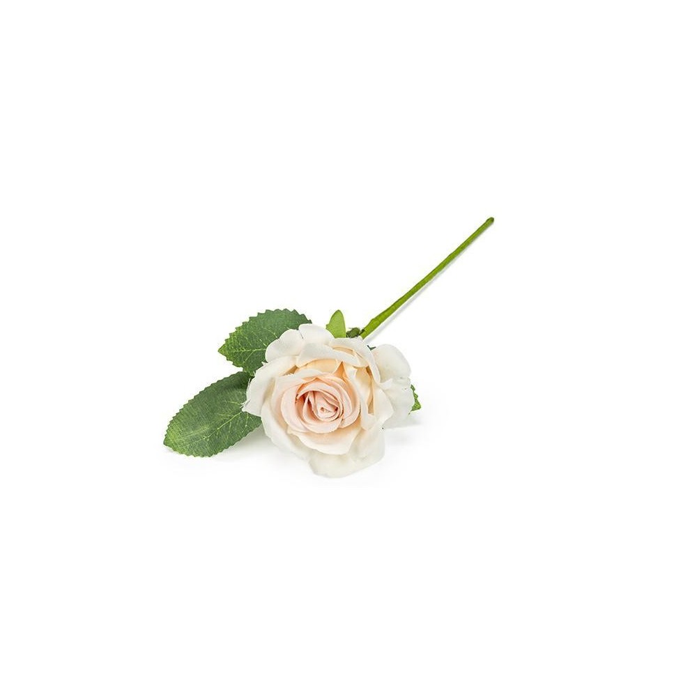 ROSA CON FOGLIE CIPRIA